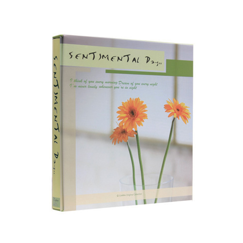 하모니 접착앨범6630L(연두) 30매