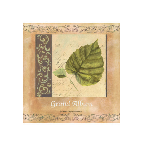 갤러리접착앨범6650L(브라운) 50매