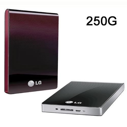 LG 외장하드 XPRESS XD1 250G 