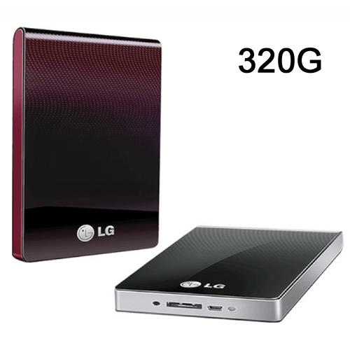 LG 외장하드 XPRESS XD1 320G 