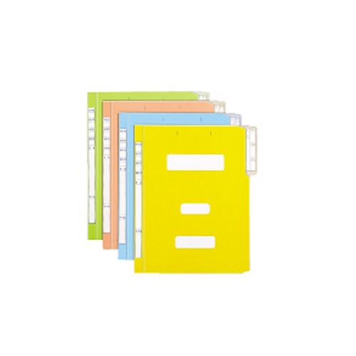 문화칼라정부화일미색A4(10매) F194-7