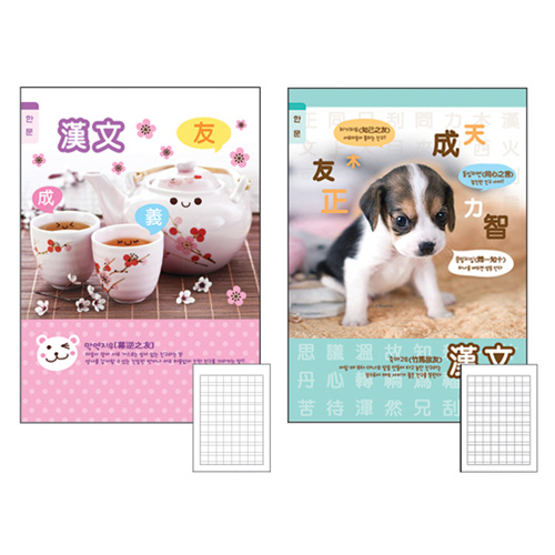 초등3-6한문(아이비스) 186*260mm