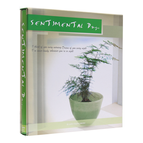 하모니 6630L 접착앨범 녹색 