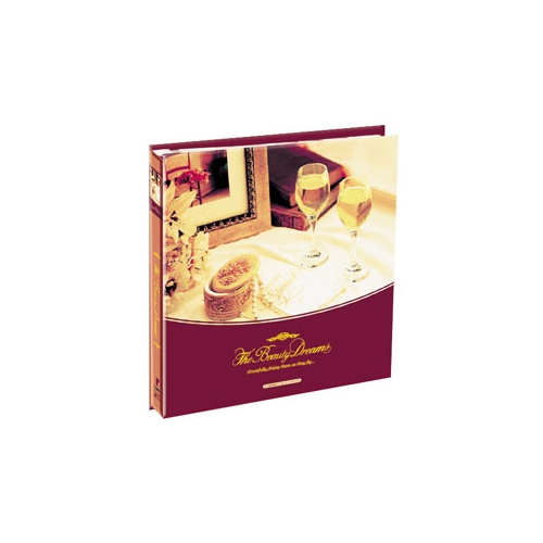 갤러리 6640L 접착앨범 분홍 