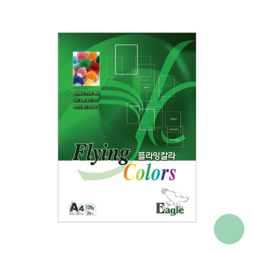 플라잉칼라 120g 밝은청록색