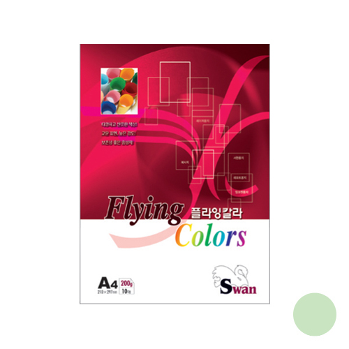 플라잉칼라A4200g(S-11) 밝은녹색